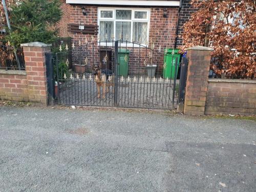 IMG-20210212-WA0010 compressed