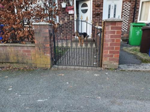 IMG-20210212-WA0011 compressed